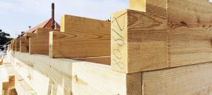 Bauen mit Holz im Bestand: Sanierung im Plattenbau und Wohnen über dem Parkplatz