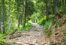 „Der Weg zum Aufschwung bleibt holprig“