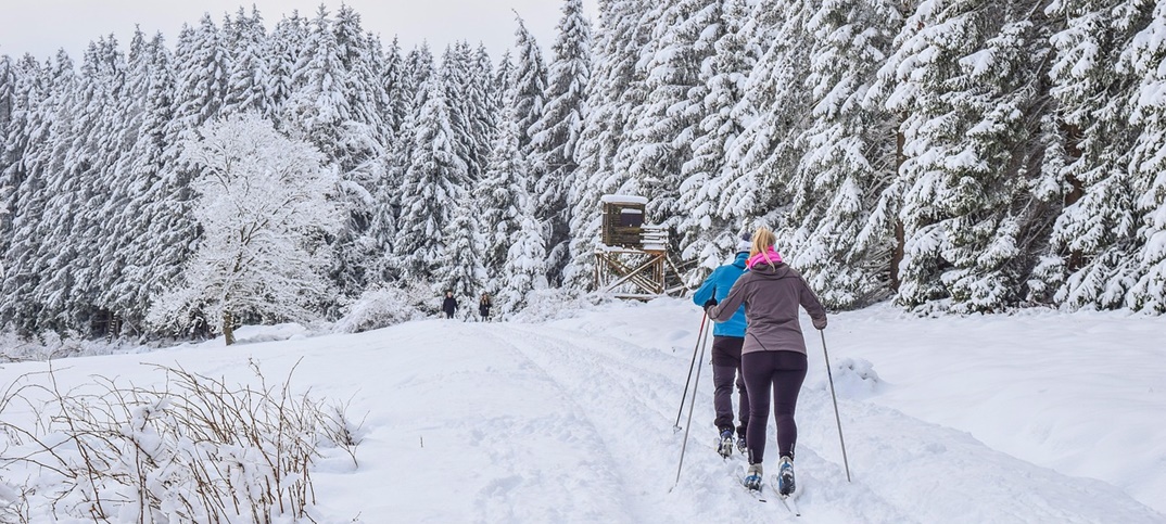 PFAS-im-Skiwachs-Chemikalien-auf-der-Loipe