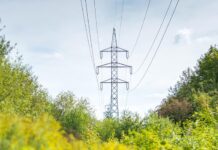 Biogas sollte neue Kraftwerke ergänzen, statt sie zu ersetzen